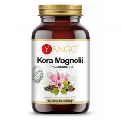 Kora Magnolii firma Yango